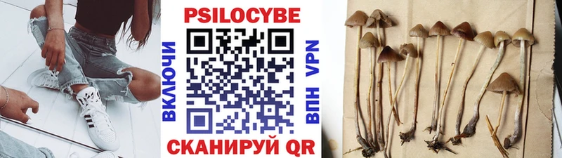 Купить где  Богданович  Галлюциногенные грибы мицелий 